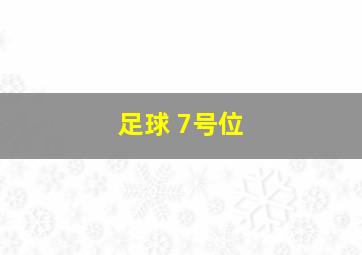 足球 7号位